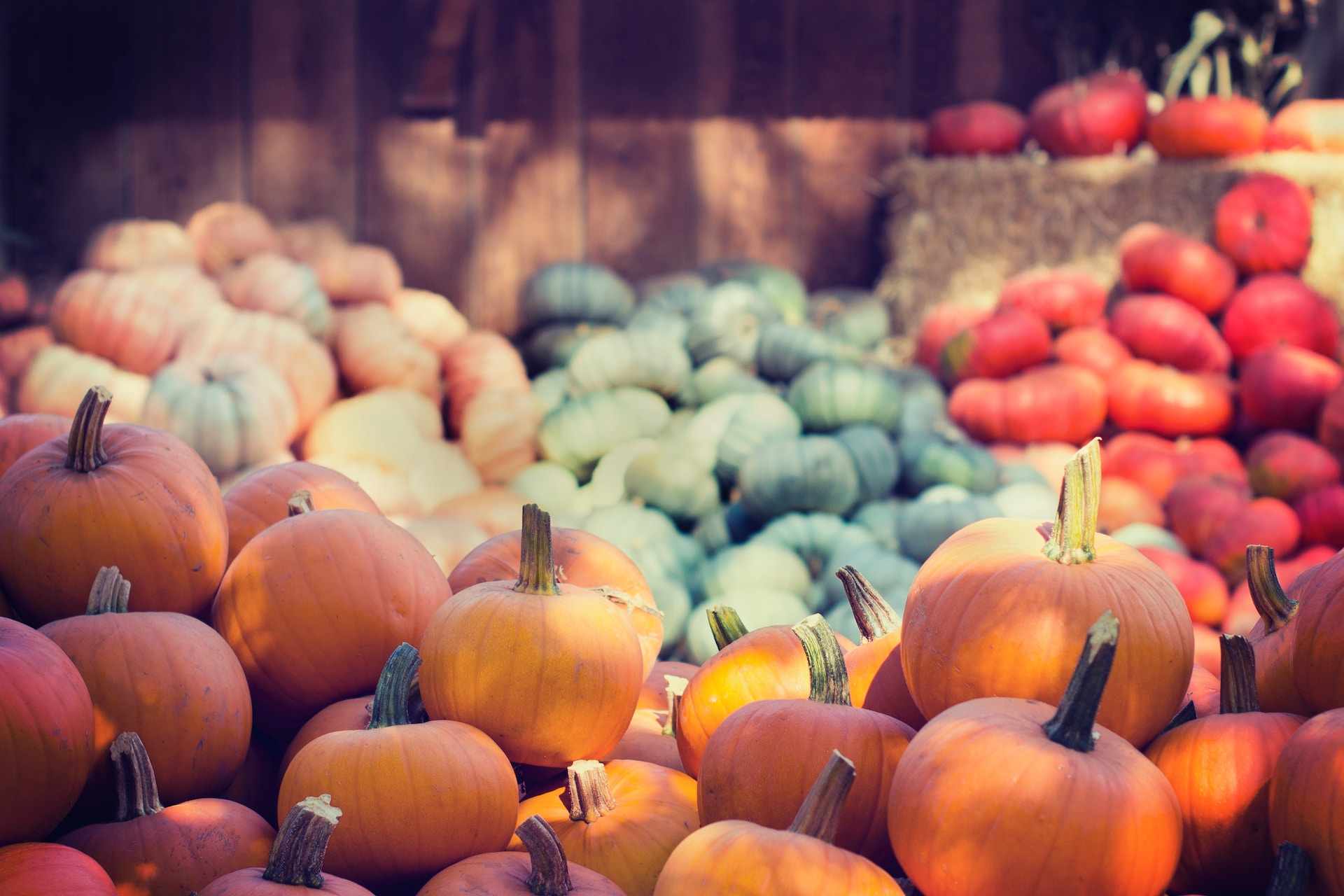 Not-To-Miss Fall Festivals In The U.S.